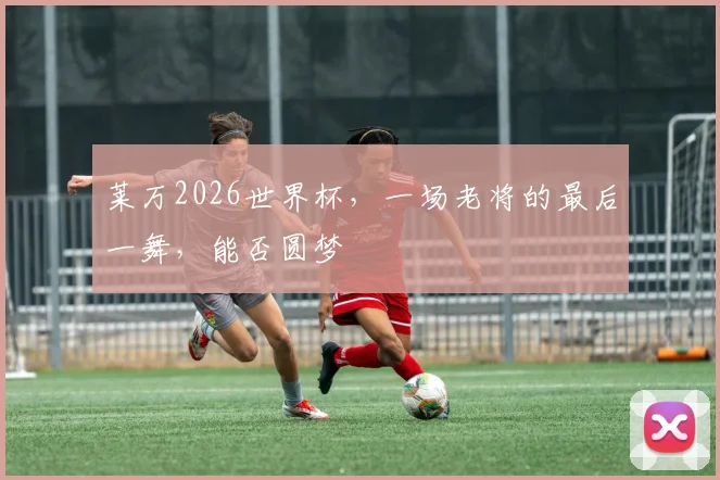 莱万2026世界杯,一场老将的最后一舞,能否圆梦